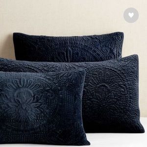 NEW Pottery Barn euro sham set of 2